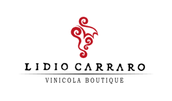 logo-lidio-carraro